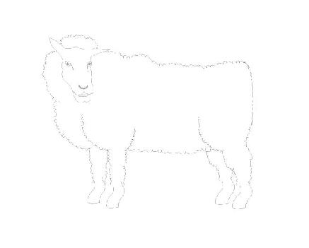 Sheep Zodiac Sign